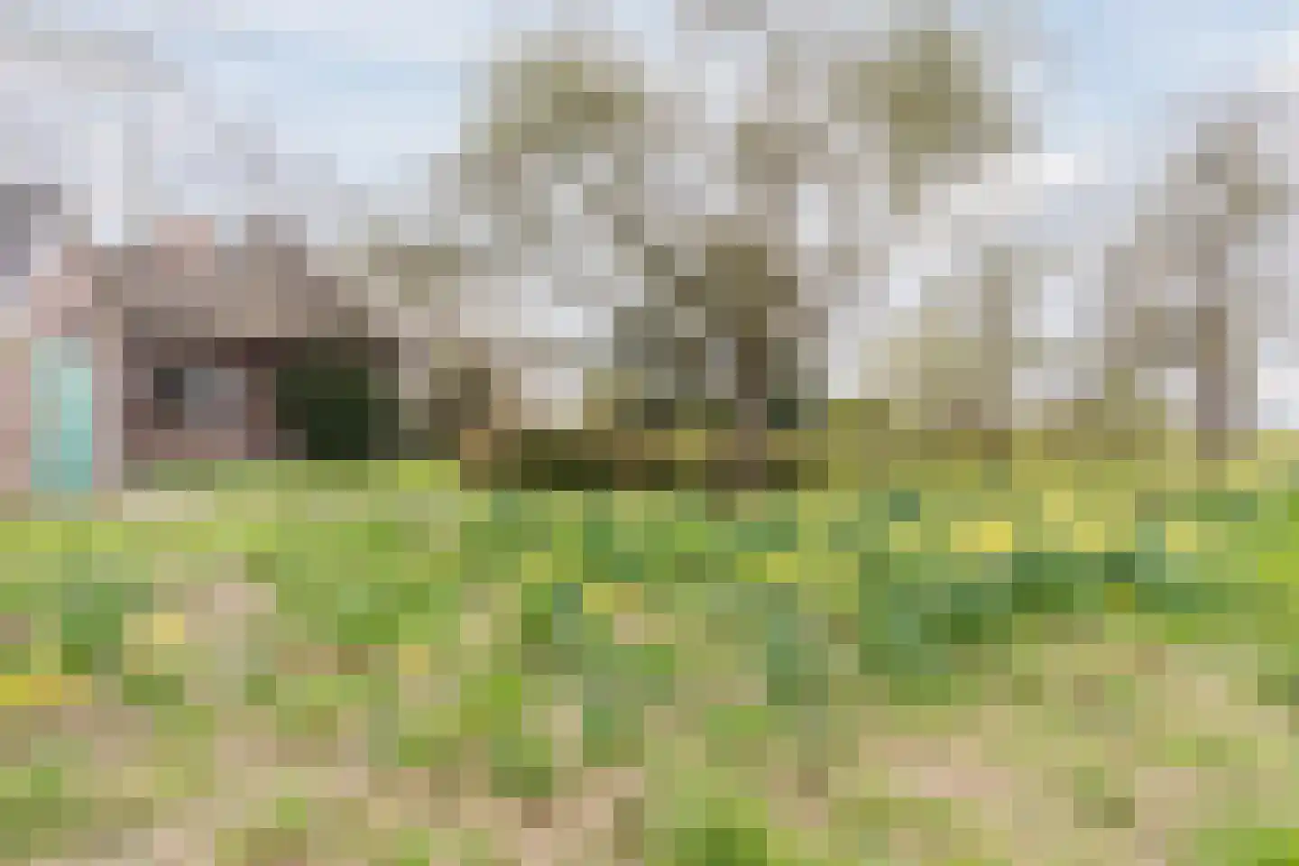 De Doornweg 10 Zwolle thumbnail 45