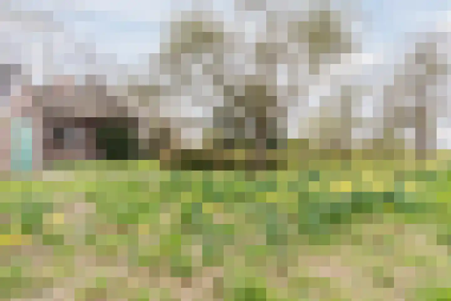 De Doornweg 10 Zwolle thumbnail 46