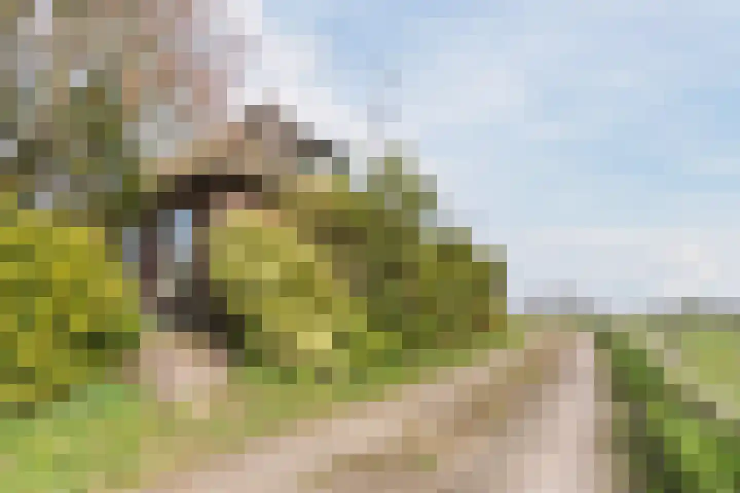 De Doornweg 10 Zwolle thumbnail 47