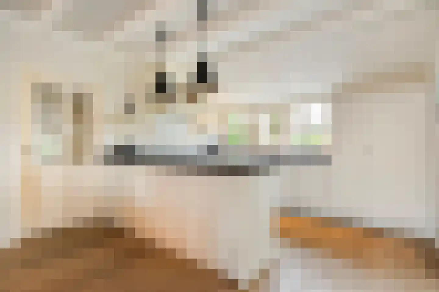 De Doornweg 24 Zwolle thumbnail 16