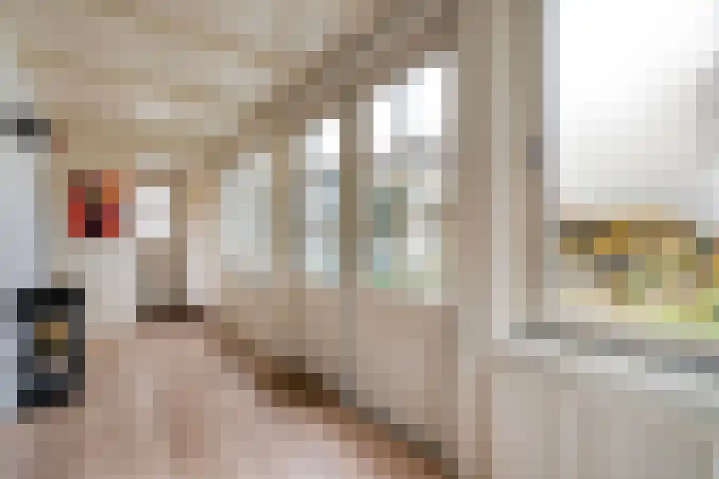 De Doornweg 24 Zwolle thumbnail 16