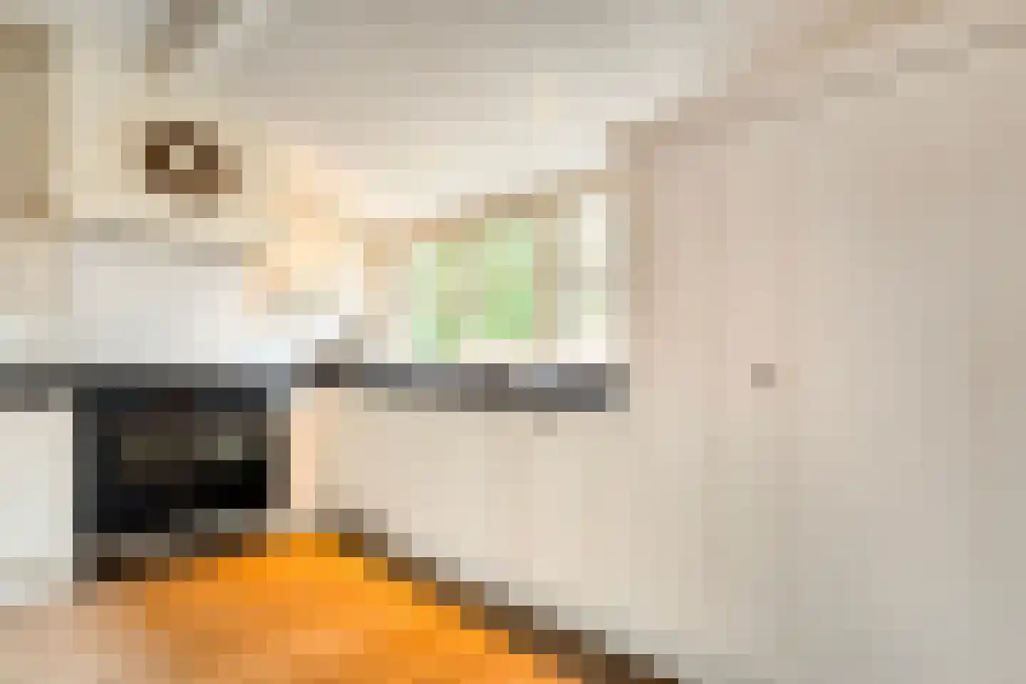 De Doornweg 24 Zwolle thumbnail 17