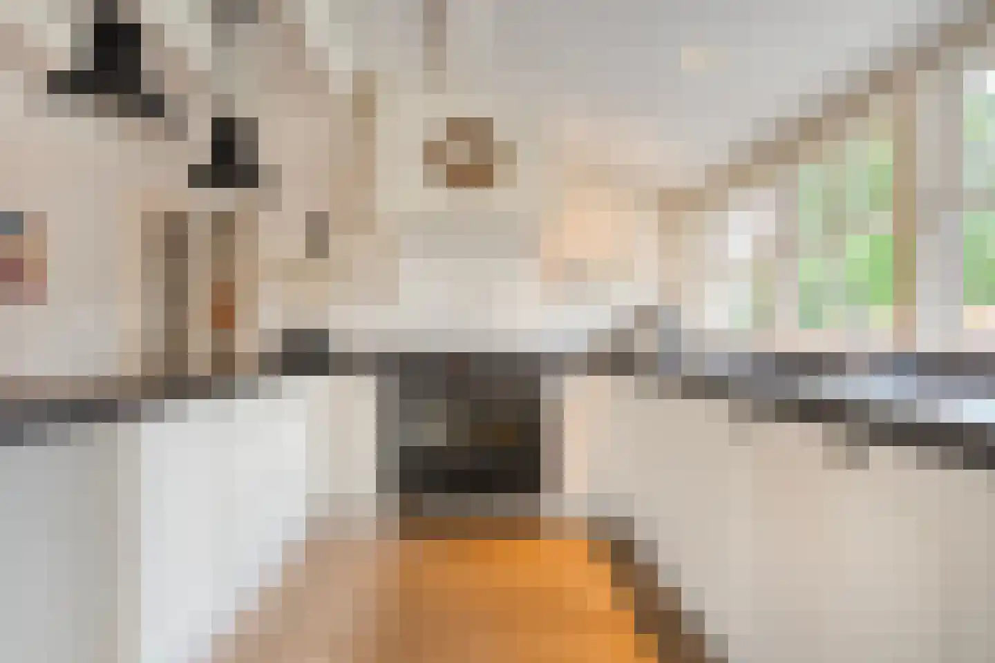 De Doornweg 24 Zwolle thumbnail 18