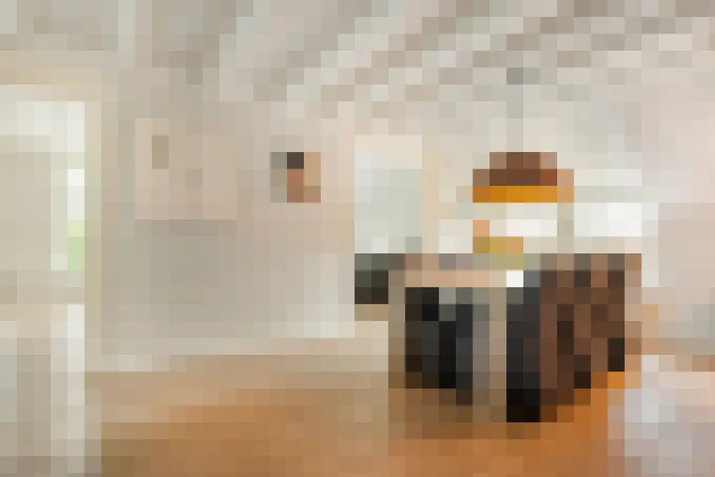 De Doornweg 24 Zwolle thumbnail 21