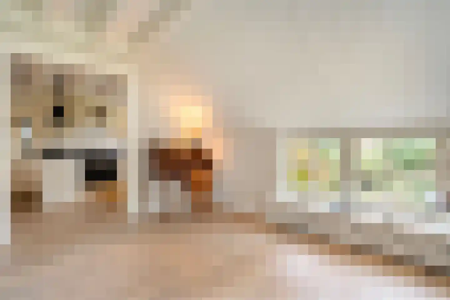 De Doornweg 24 Zwolle thumbnail 22