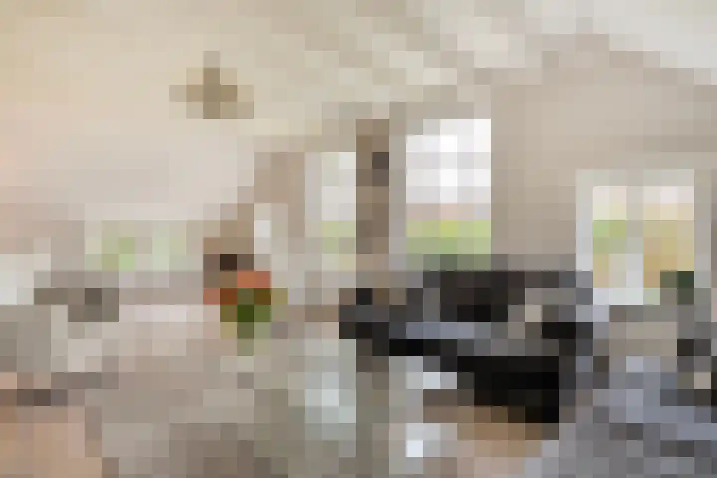 De Doornweg 24 Zwolle thumbnail 24