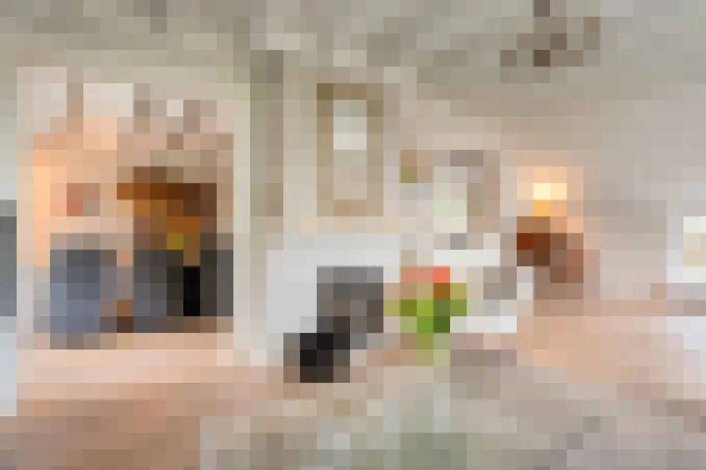 De Doornweg 24 Zwolle thumbnail 25
