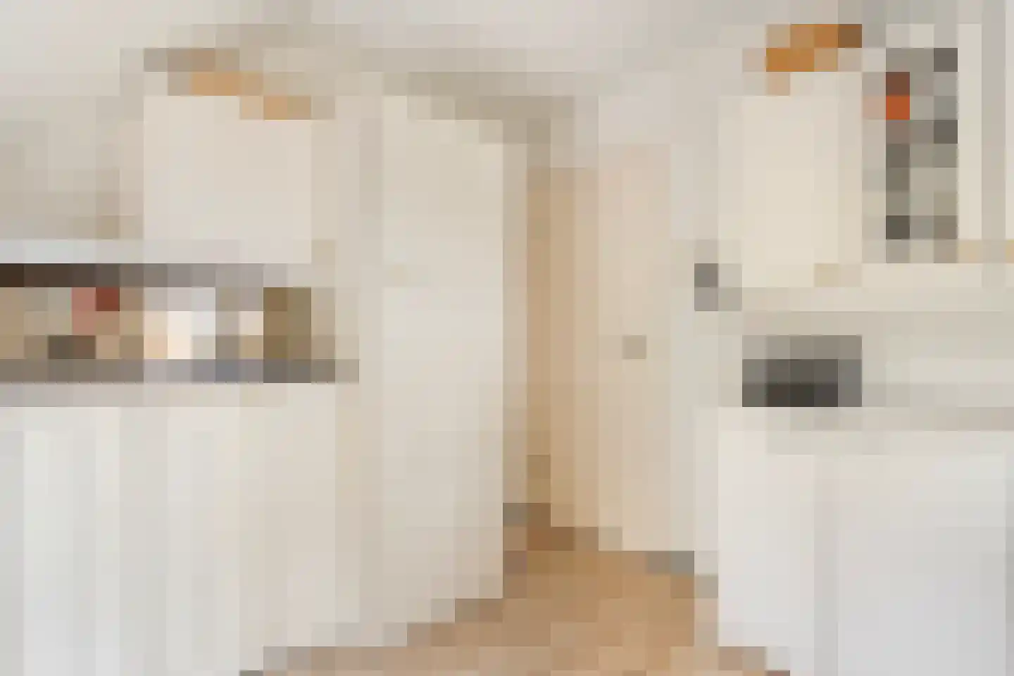 De Doornweg 24 Zwolle thumbnail 39