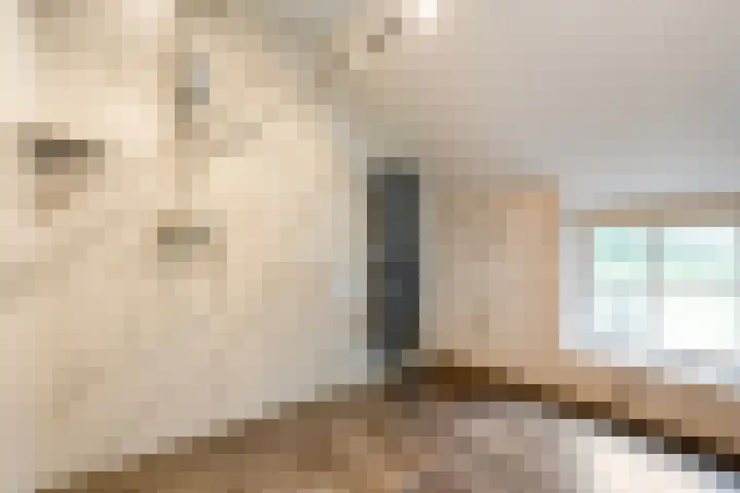 De Doornweg 24 Zwolle thumbnail 41