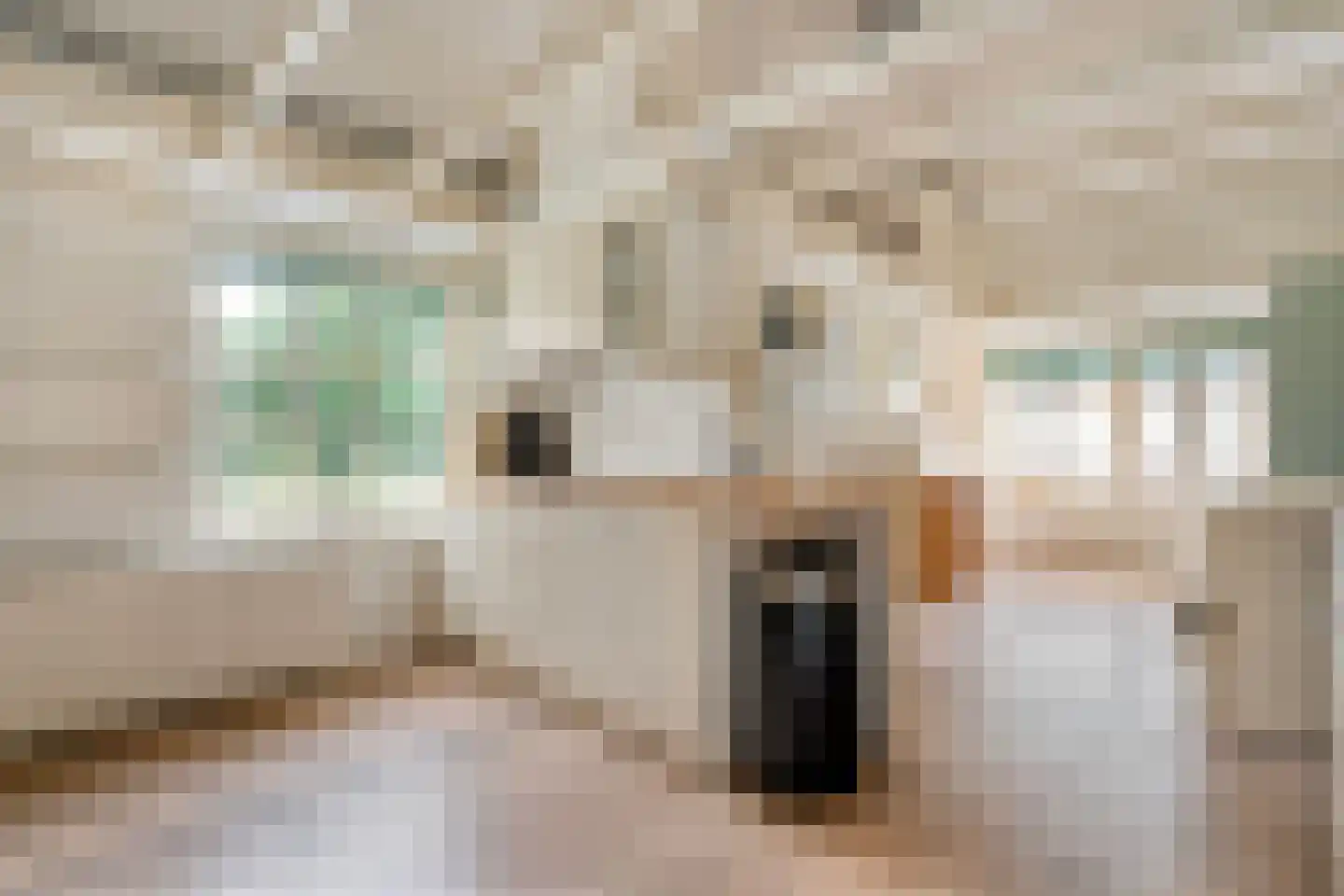 De Doornweg 24 Zwolle thumbnail 42