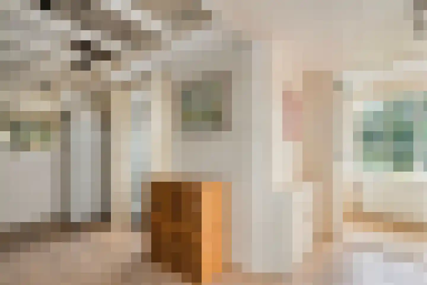 De Doornweg 24 Zwolle thumbnail 46