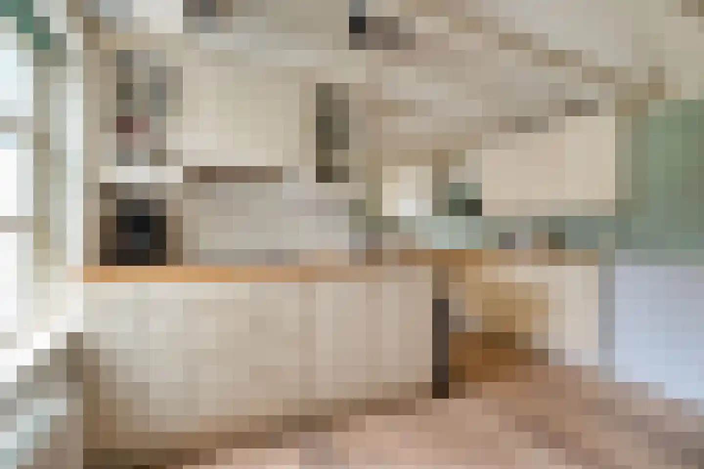 De Doornweg 24 Zwolle thumbnail 51