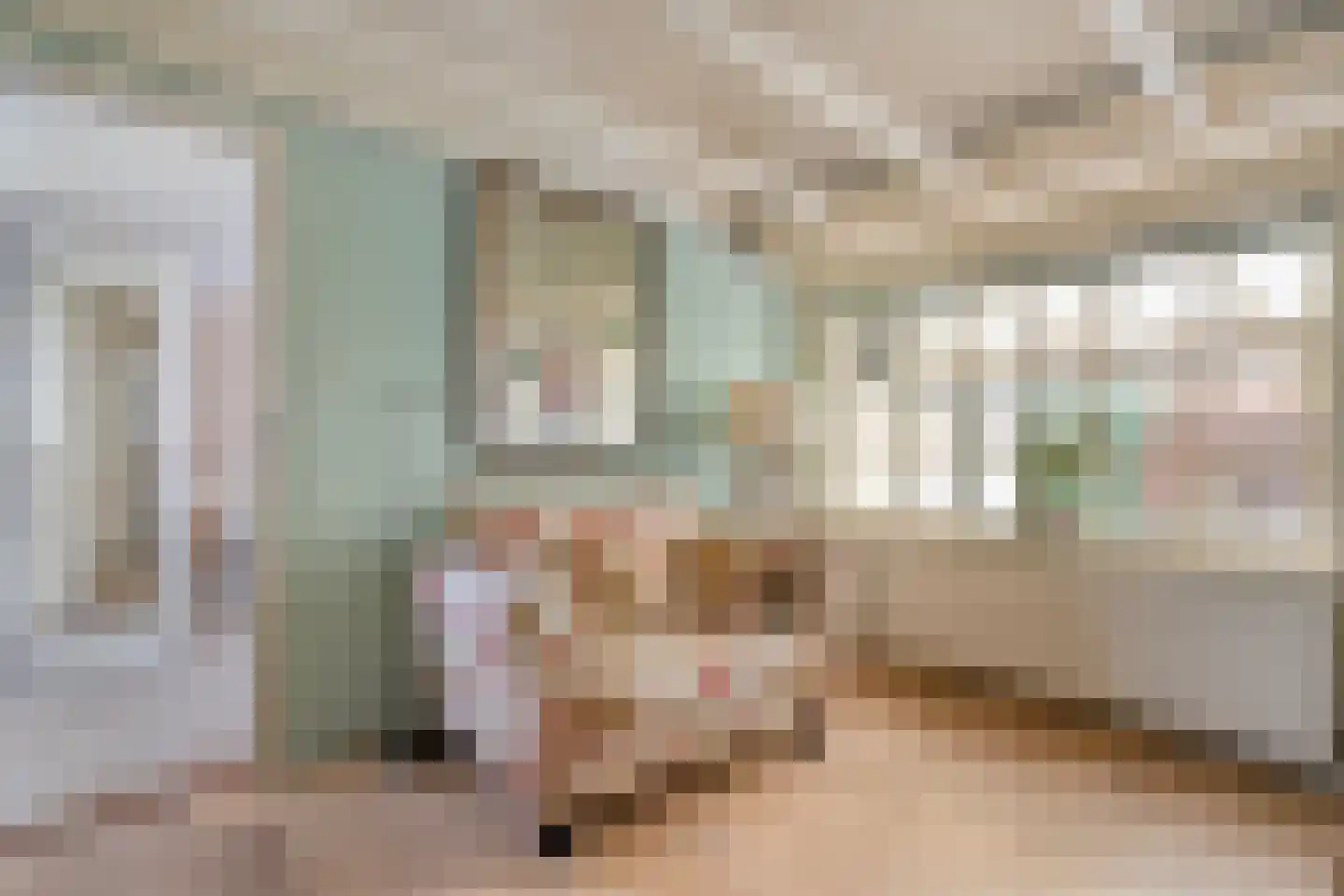 De Doornweg 24 Zwolle thumbnail 54