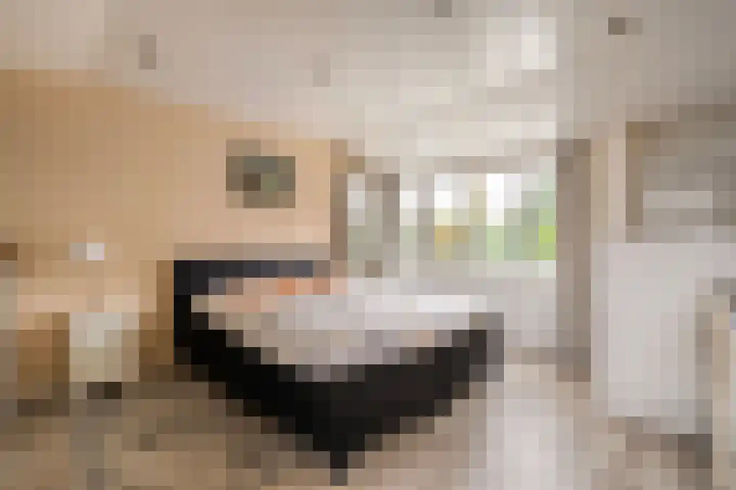 De Doornweg 24 Zwolle thumbnail 55