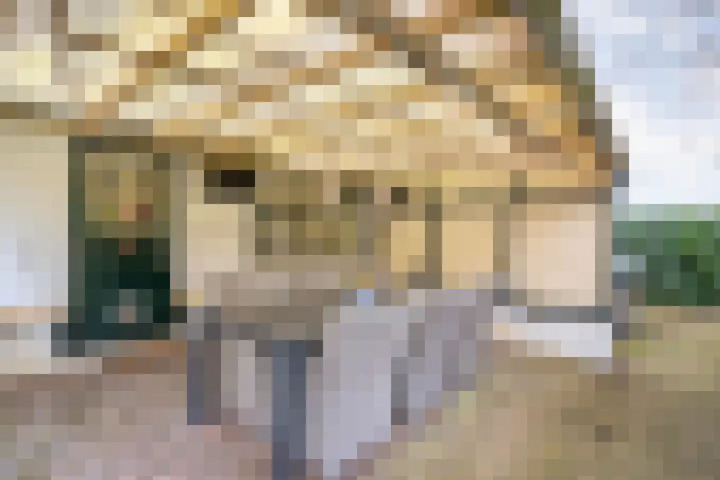 De Doornweg 24 Zwolle thumbnail 58