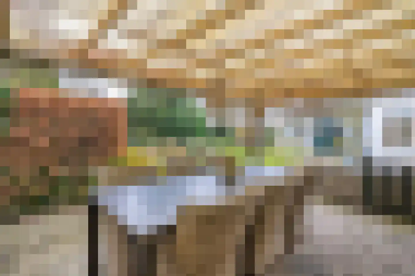 De Doornweg 24 Zwolle thumbnail 59