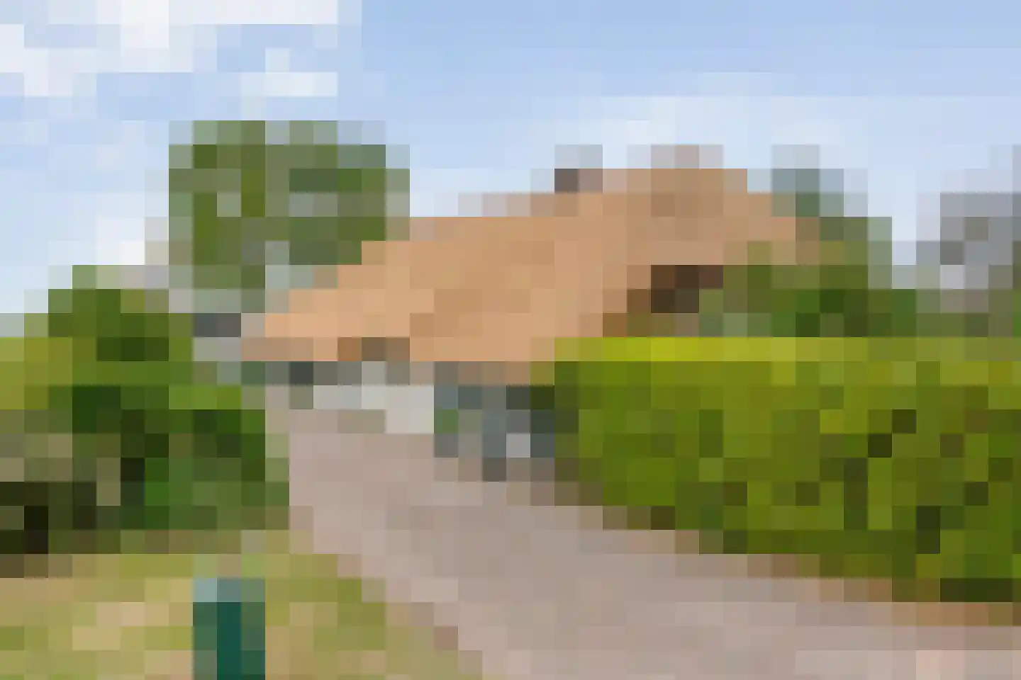 De Doornweg 24 Zwolle thumbnail 60
