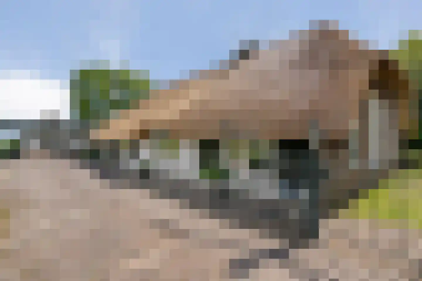 De Doornweg 24 Zwolle thumbnail 63