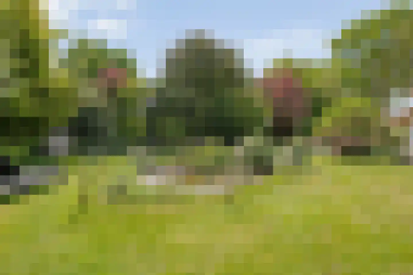 De Doornweg 24 Zwolle thumbnail 77