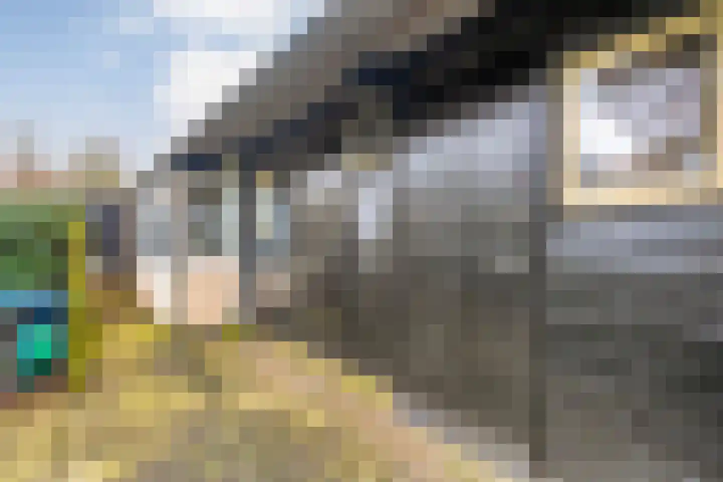 De Doornweg 24 Zwolle thumbnail 78
