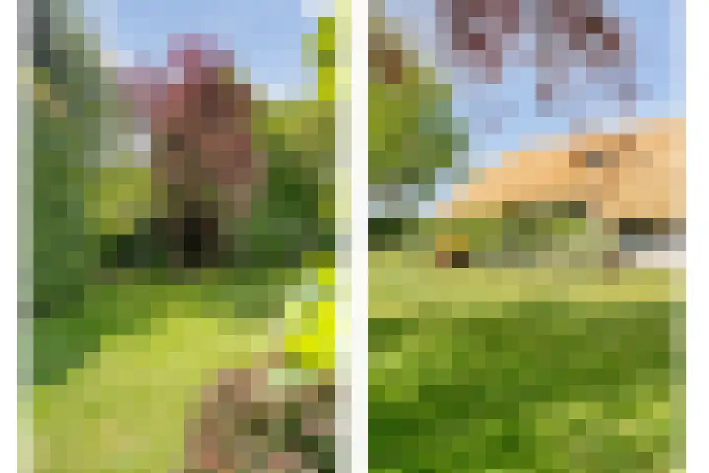 De Doornweg 24 Zwolle thumbnail 79