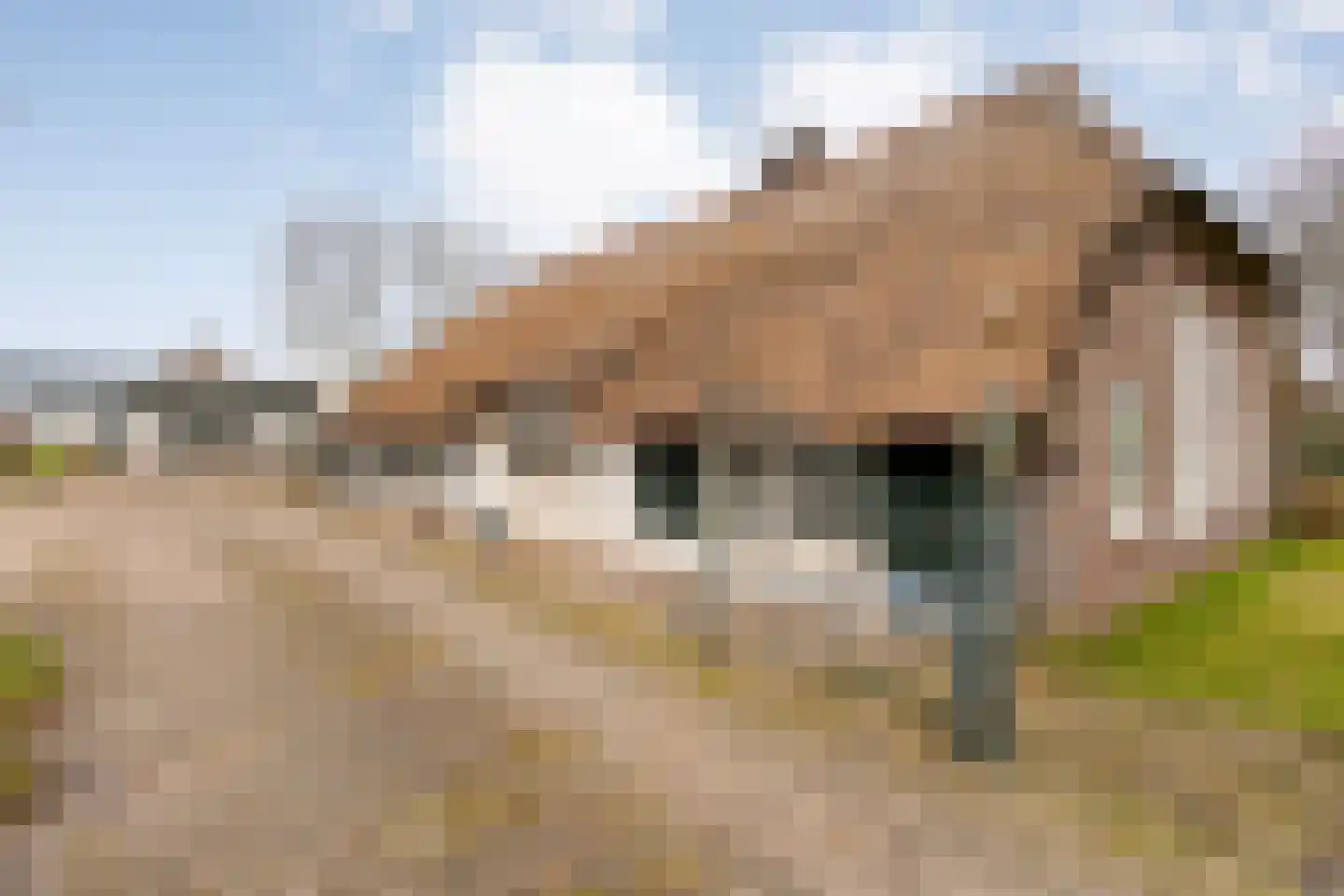 De Doornweg 24 Zwolle thumbnail 8