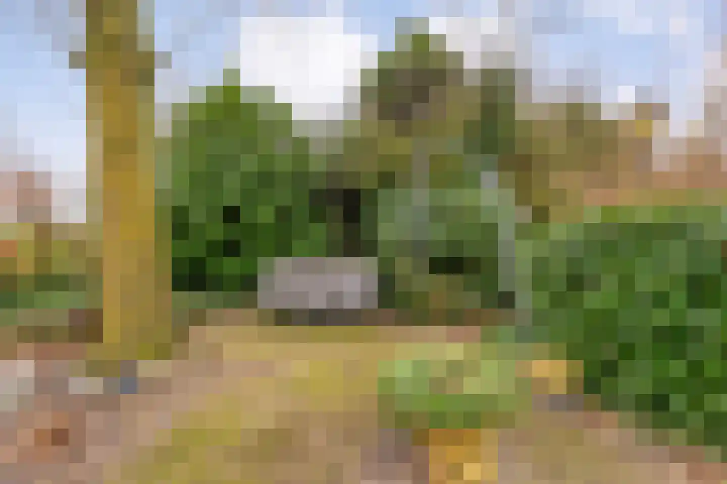 De Doornweg 24 Zwolle thumbnail 80