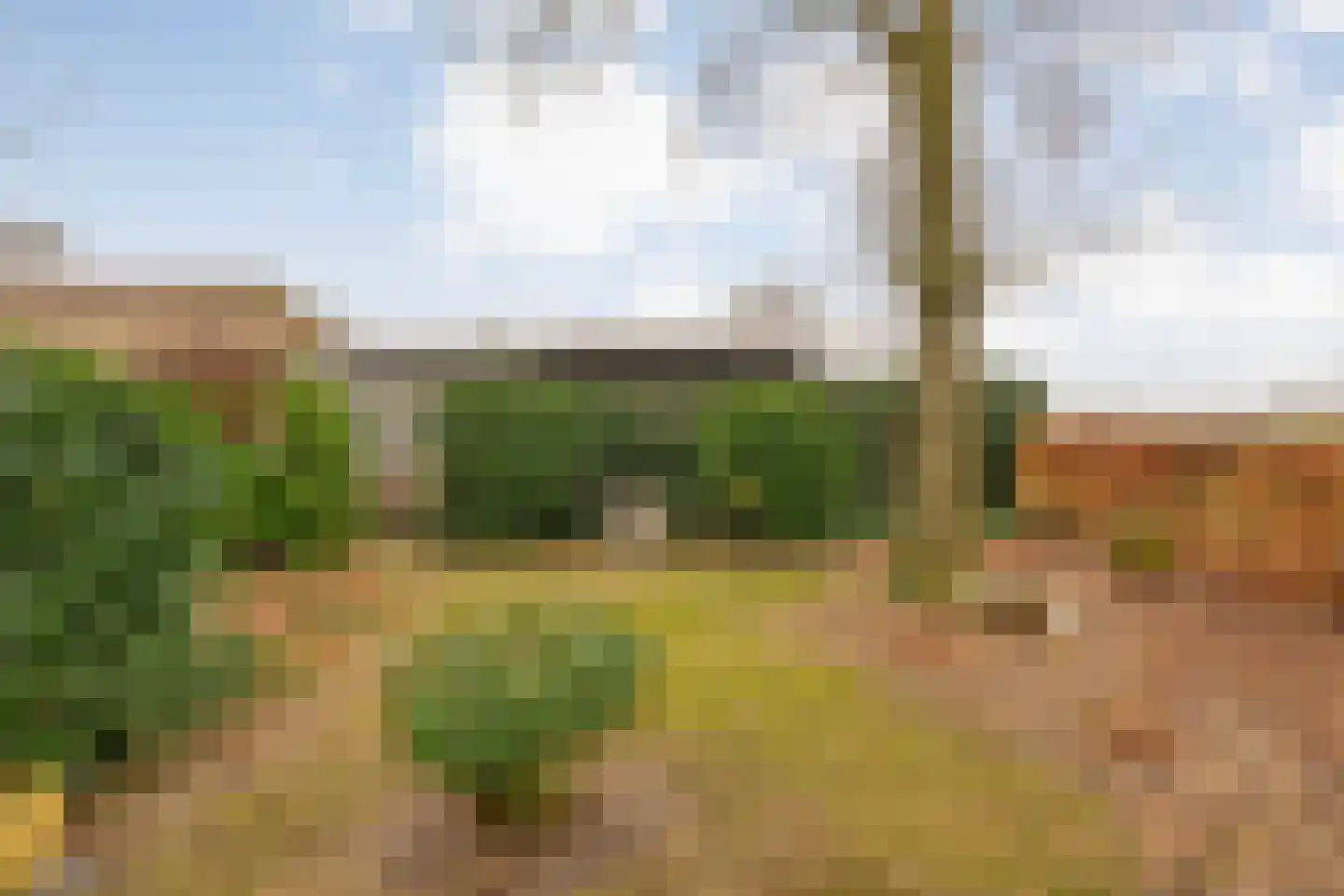 De Doornweg 24 Zwolle thumbnail 81