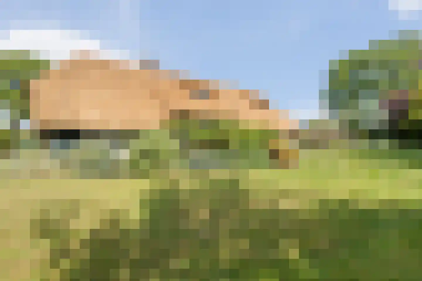 De Doornweg 24 Zwolle thumbnail 81
