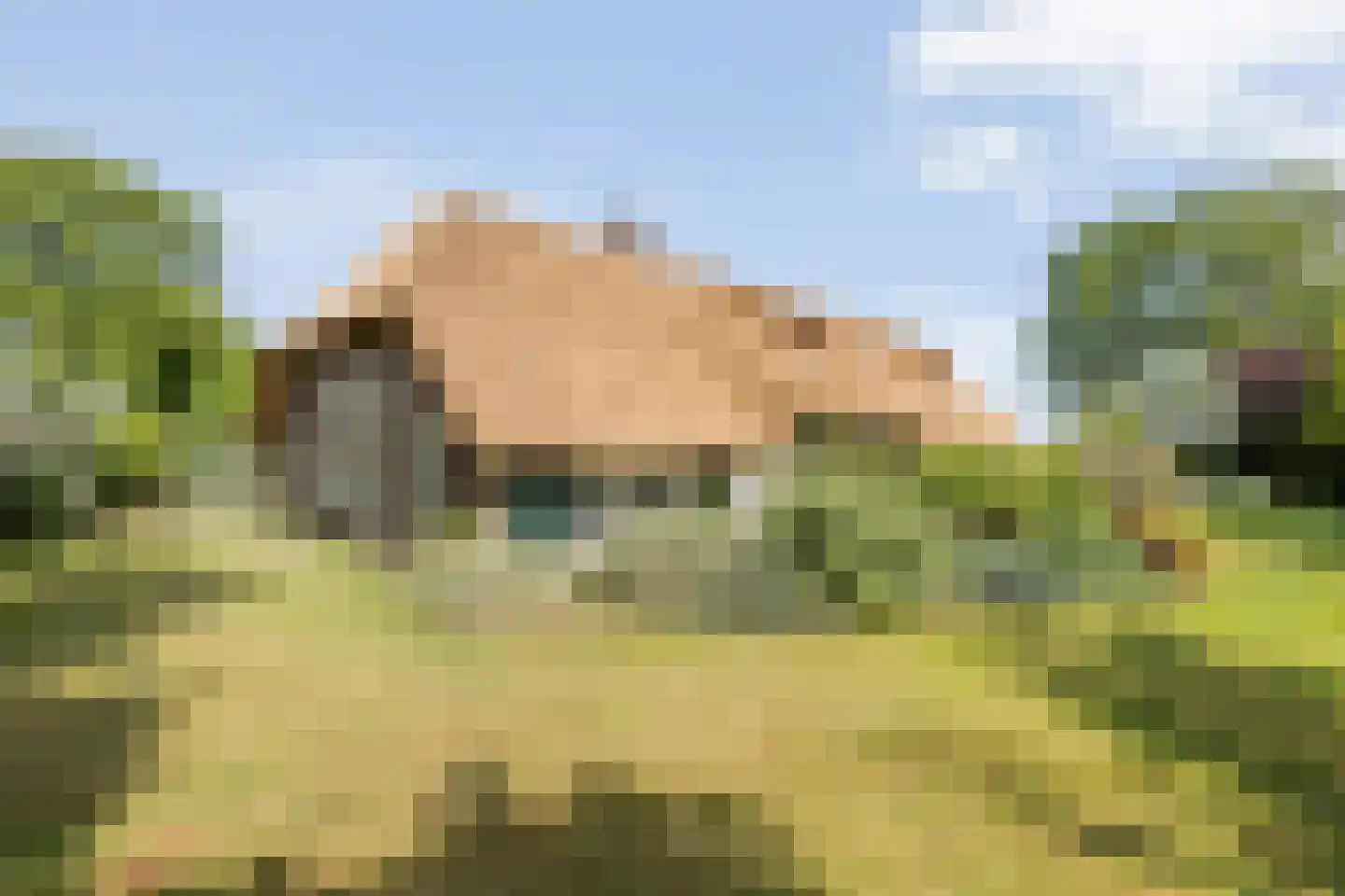 De Doornweg 24 Zwolle thumbnail 82