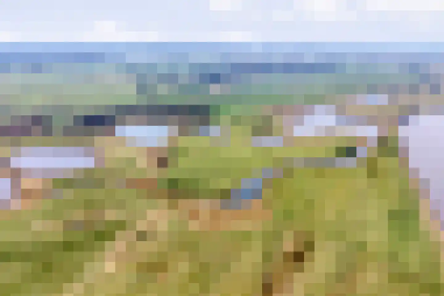 De Doornweg 24 Zwolle thumbnail 84