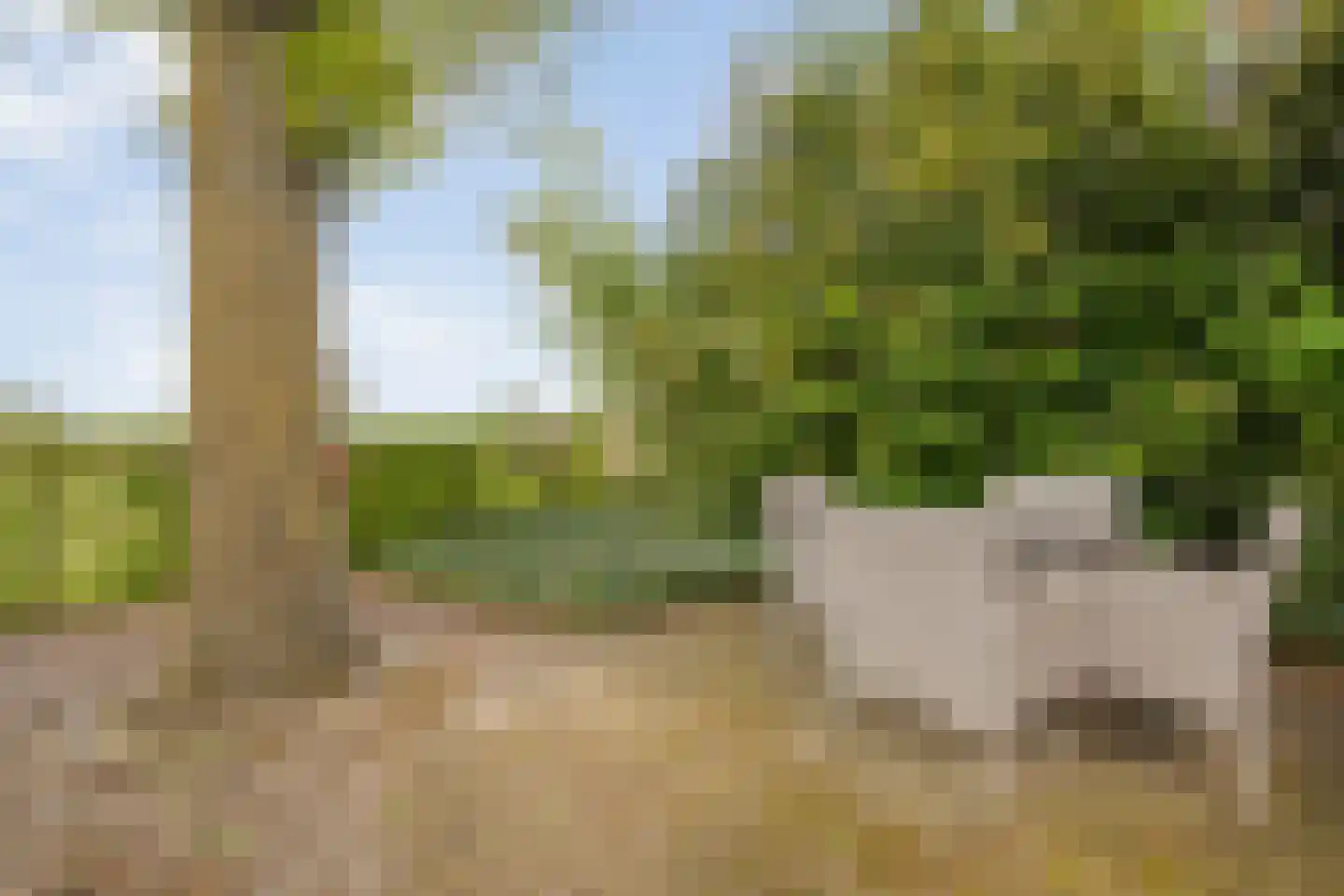 De Doornweg 24 Zwolle thumbnail 85