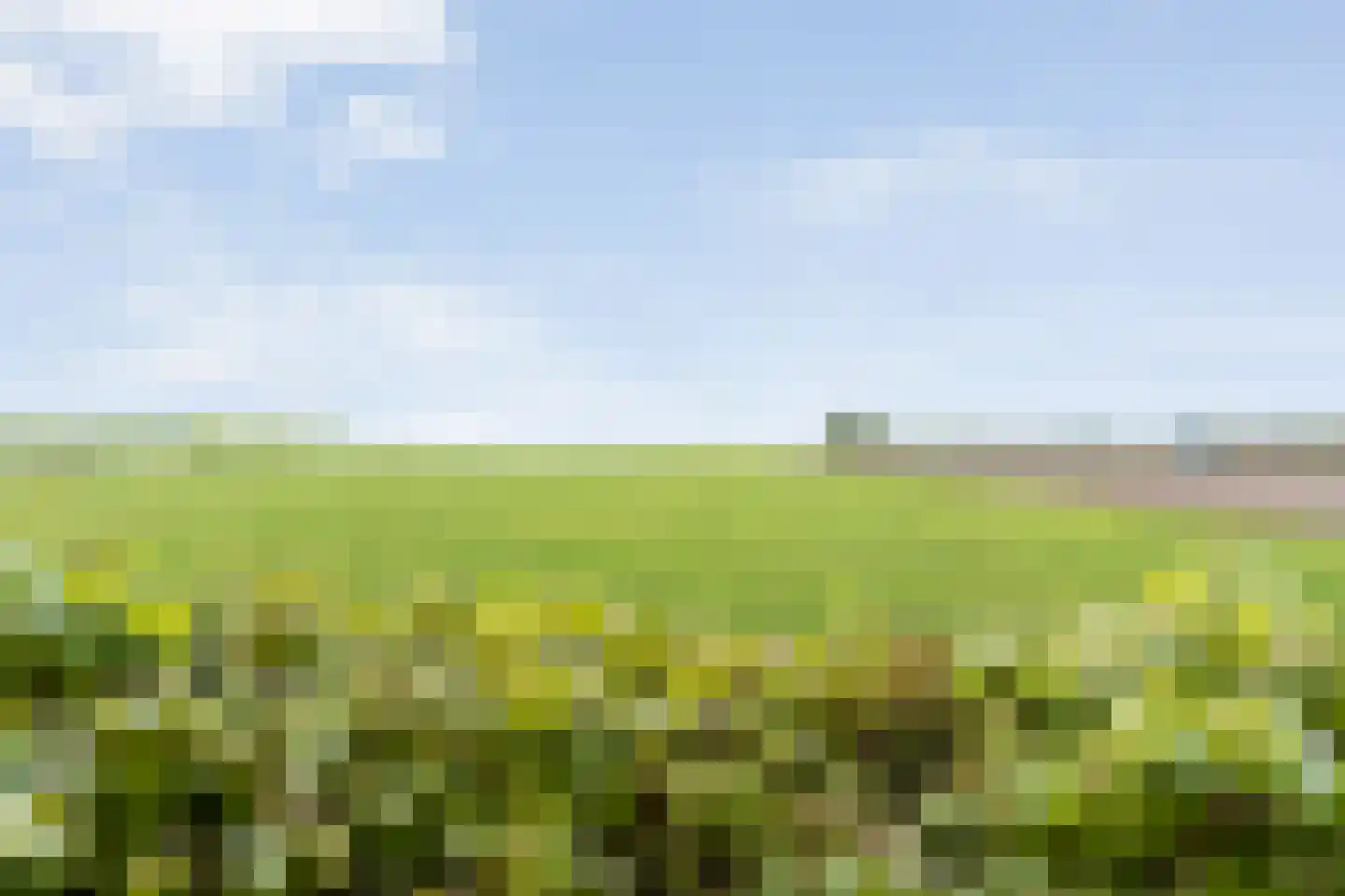De Doornweg 24 Zwolle thumbnail 86