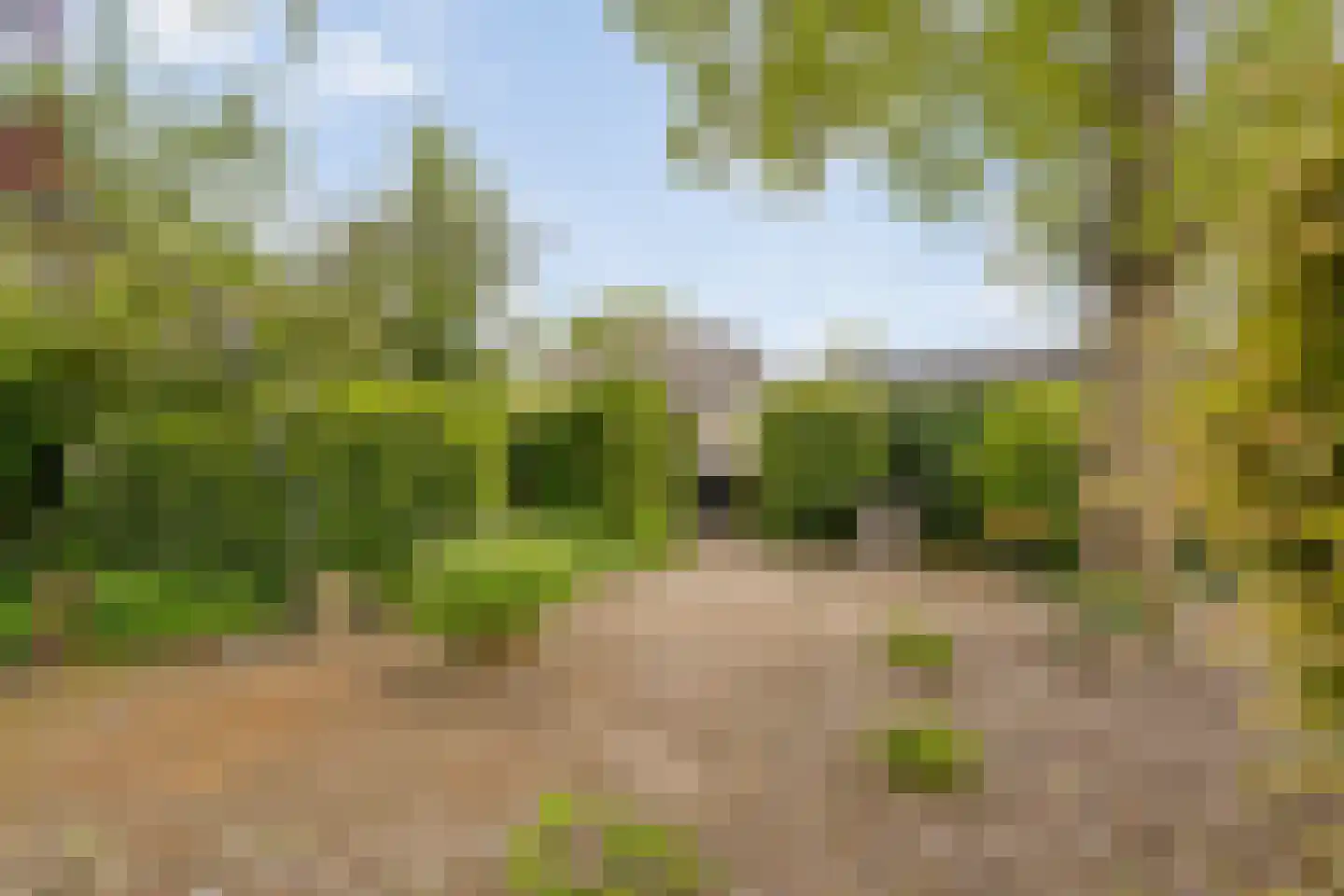 De Doornweg 24 Zwolle thumbnail 87