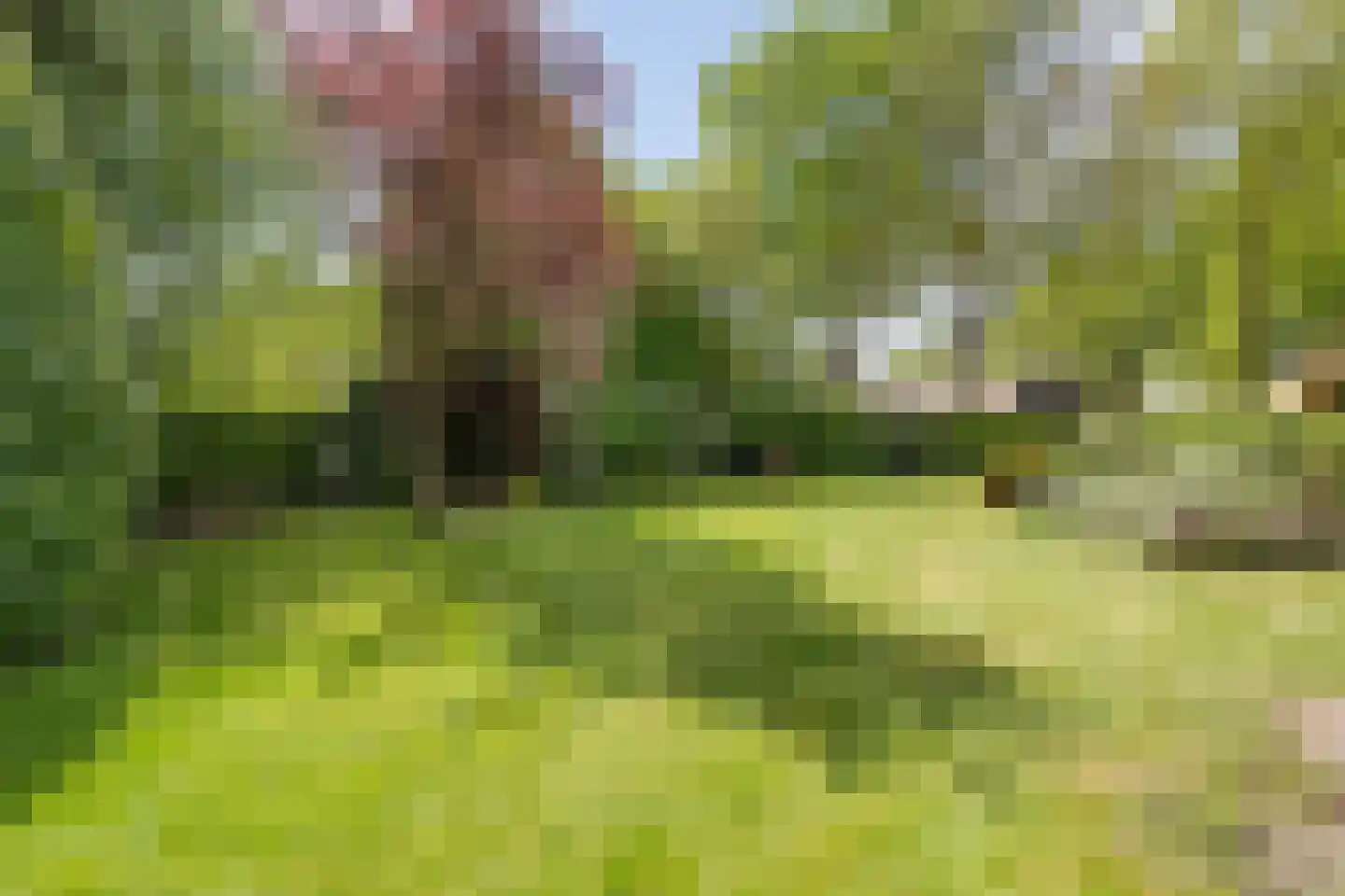 De Doornweg 24 Zwolle thumbnail 88