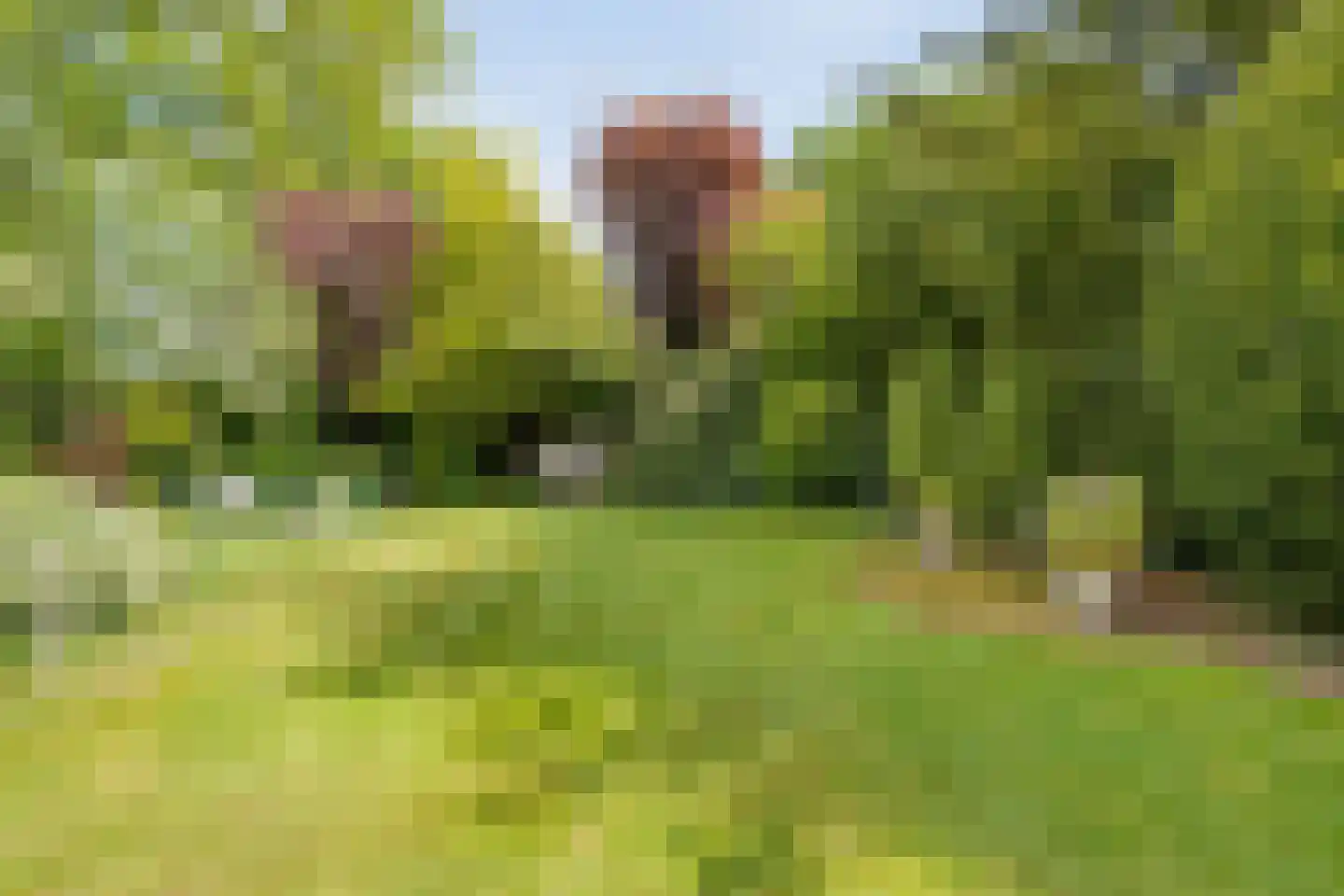 De Doornweg 24 Zwolle thumbnail 89