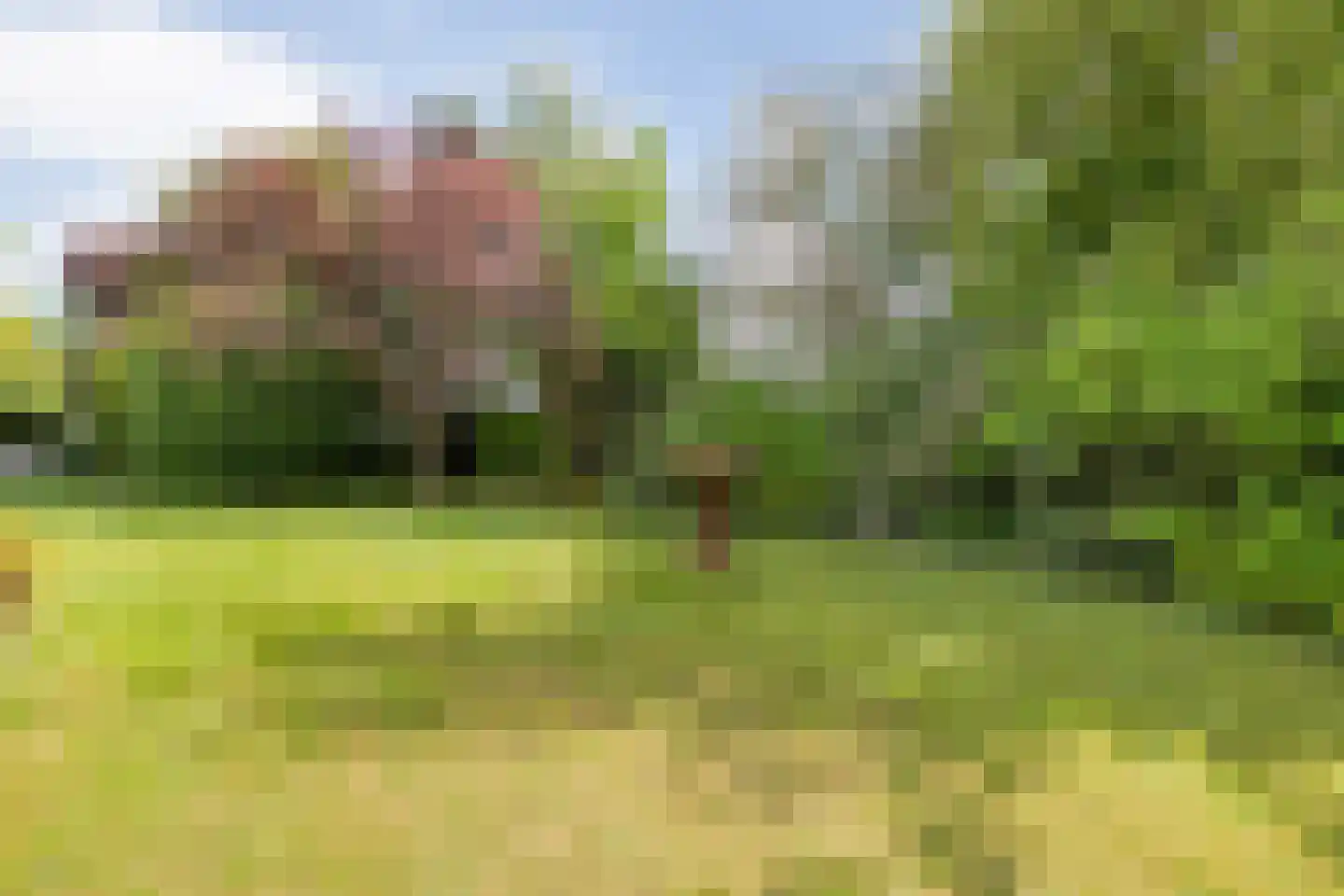 De Doornweg 24 Zwolle thumbnail 90