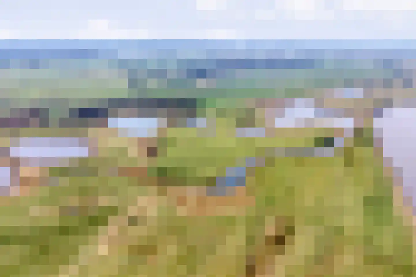 De Doornweg 24 Zwolle thumbnail 91