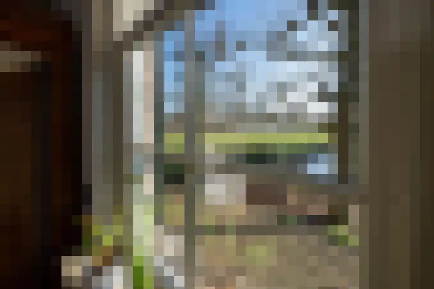 De Doornweg 45 Zwolle thumbnail 15