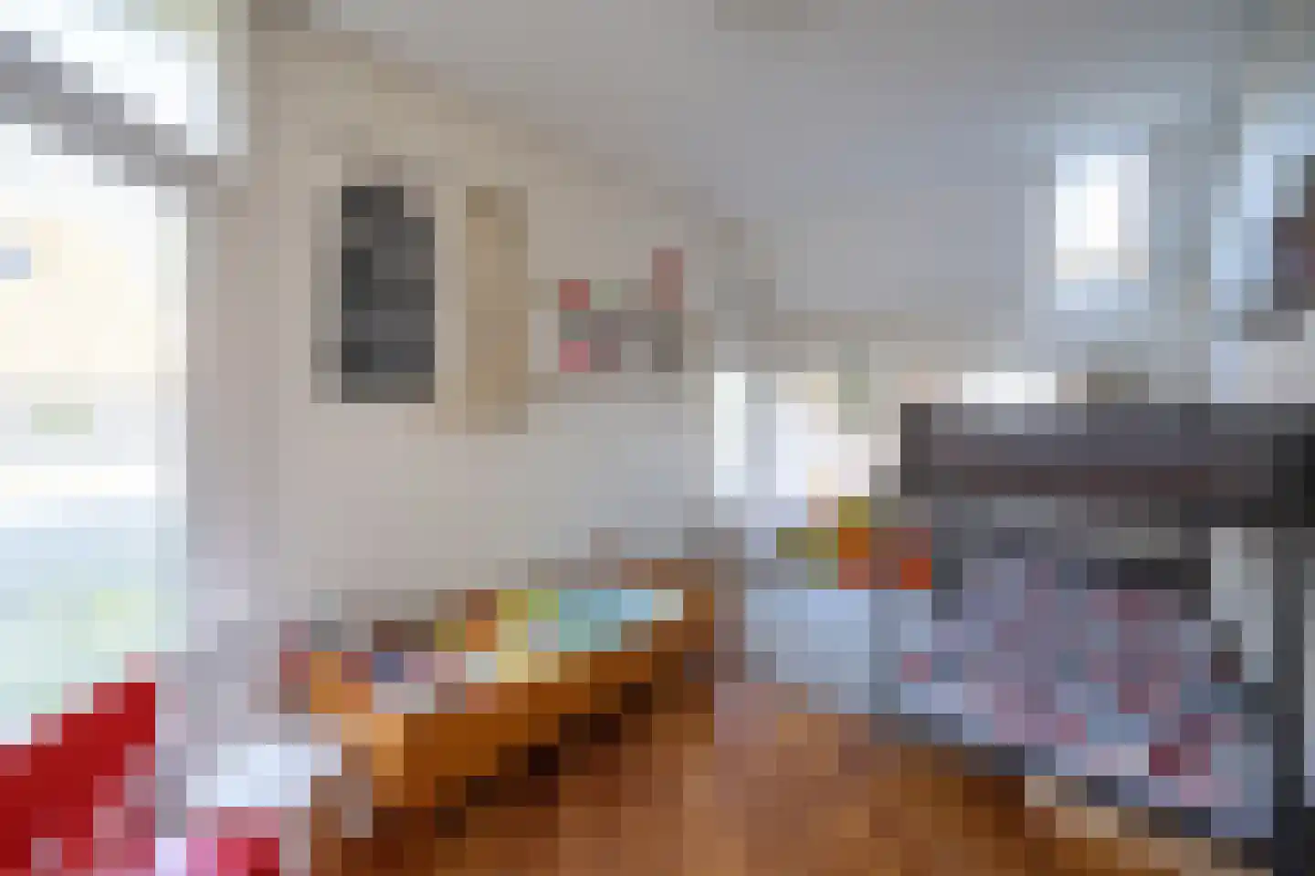 De Doornweg 45 Zwolle thumbnail 30