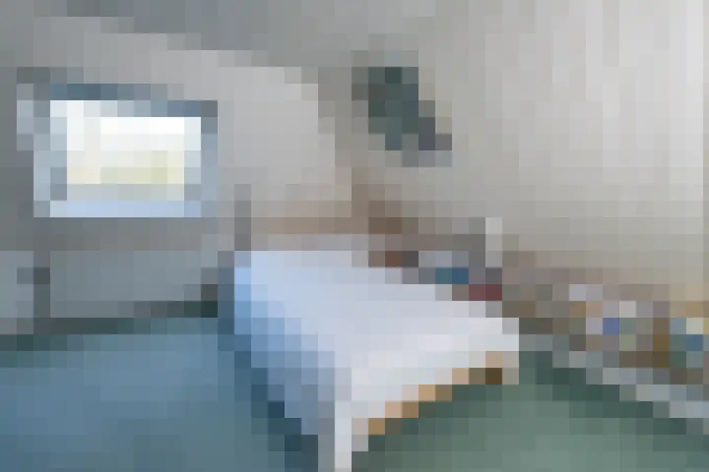 De Doornweg 45 Zwolle thumbnail 41