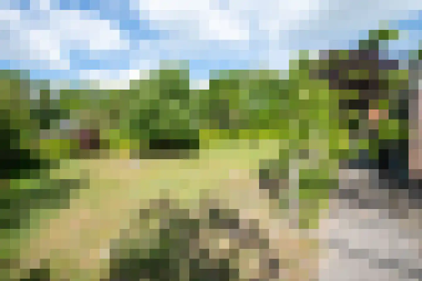De Doornweg 45 Zwolle thumbnail 50