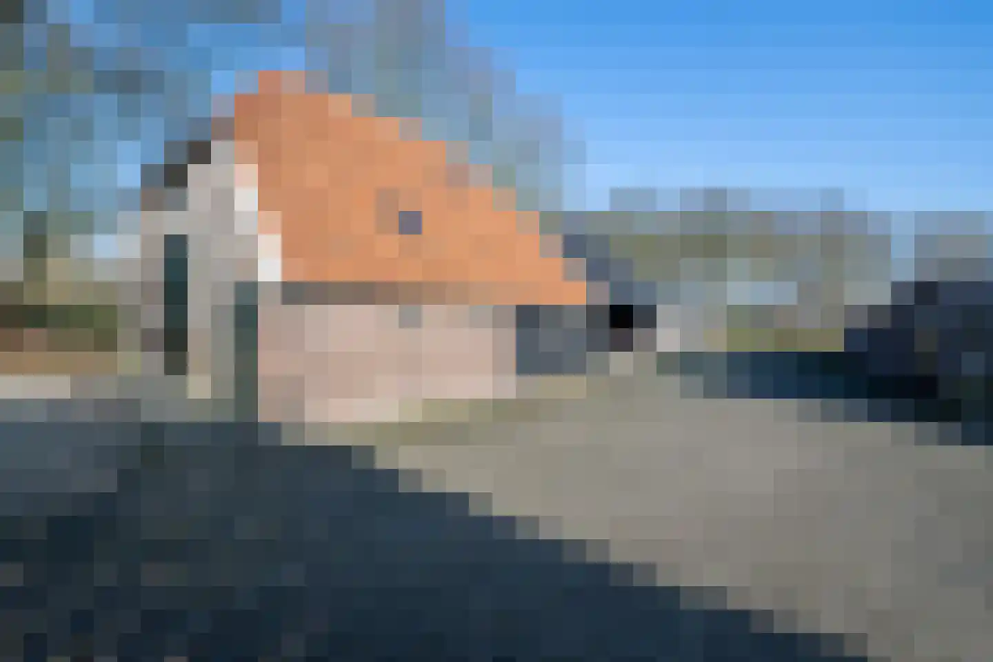 De Doornweg 45 Zwolle thumbnail 50
