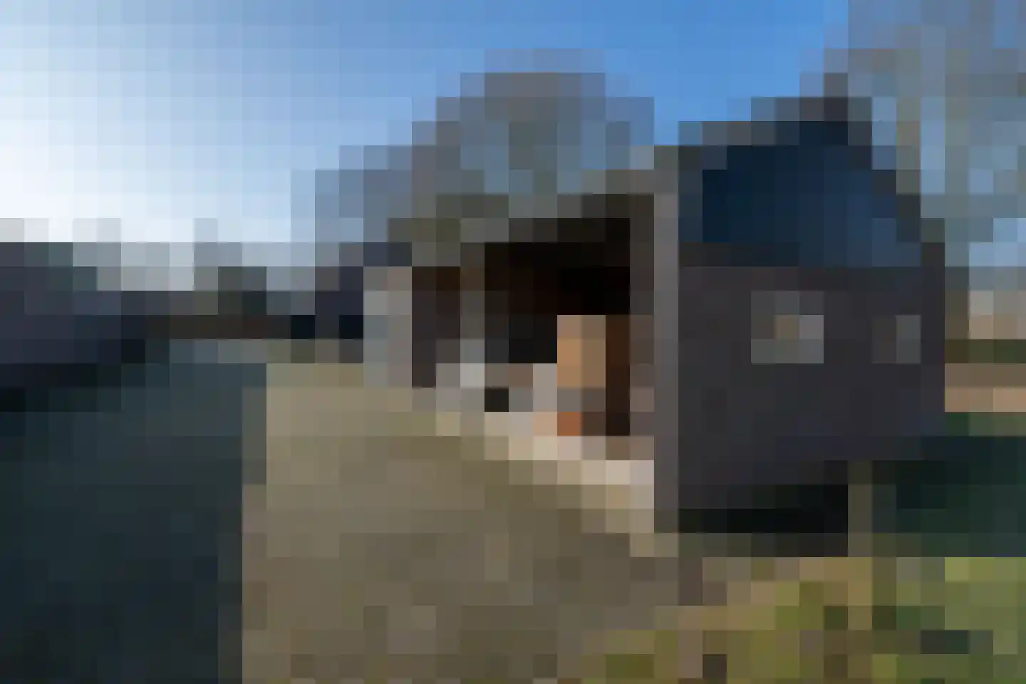De Doornweg 45 Zwolle thumbnail 52