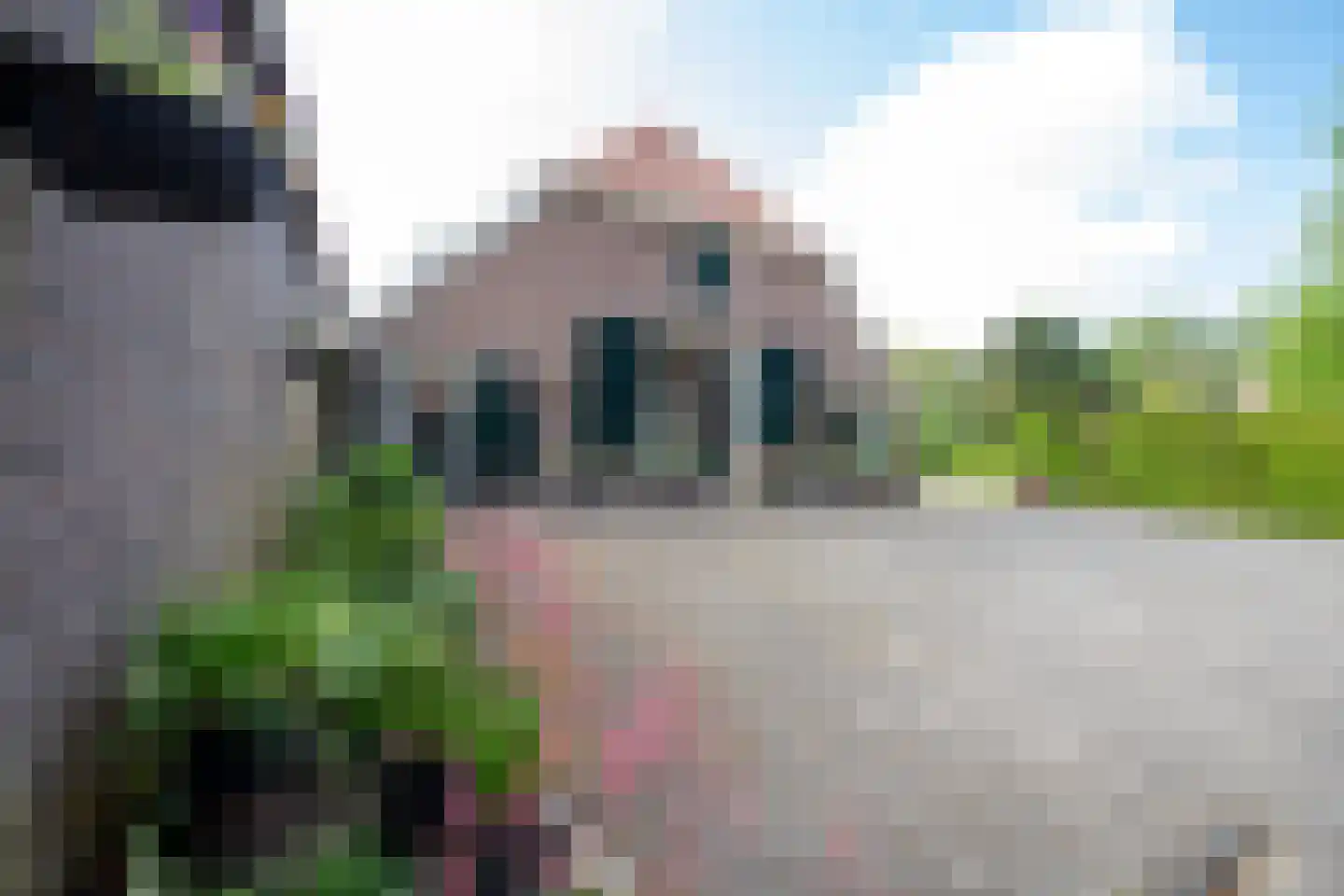 De Doornweg 45 Zwolle thumbnail 54