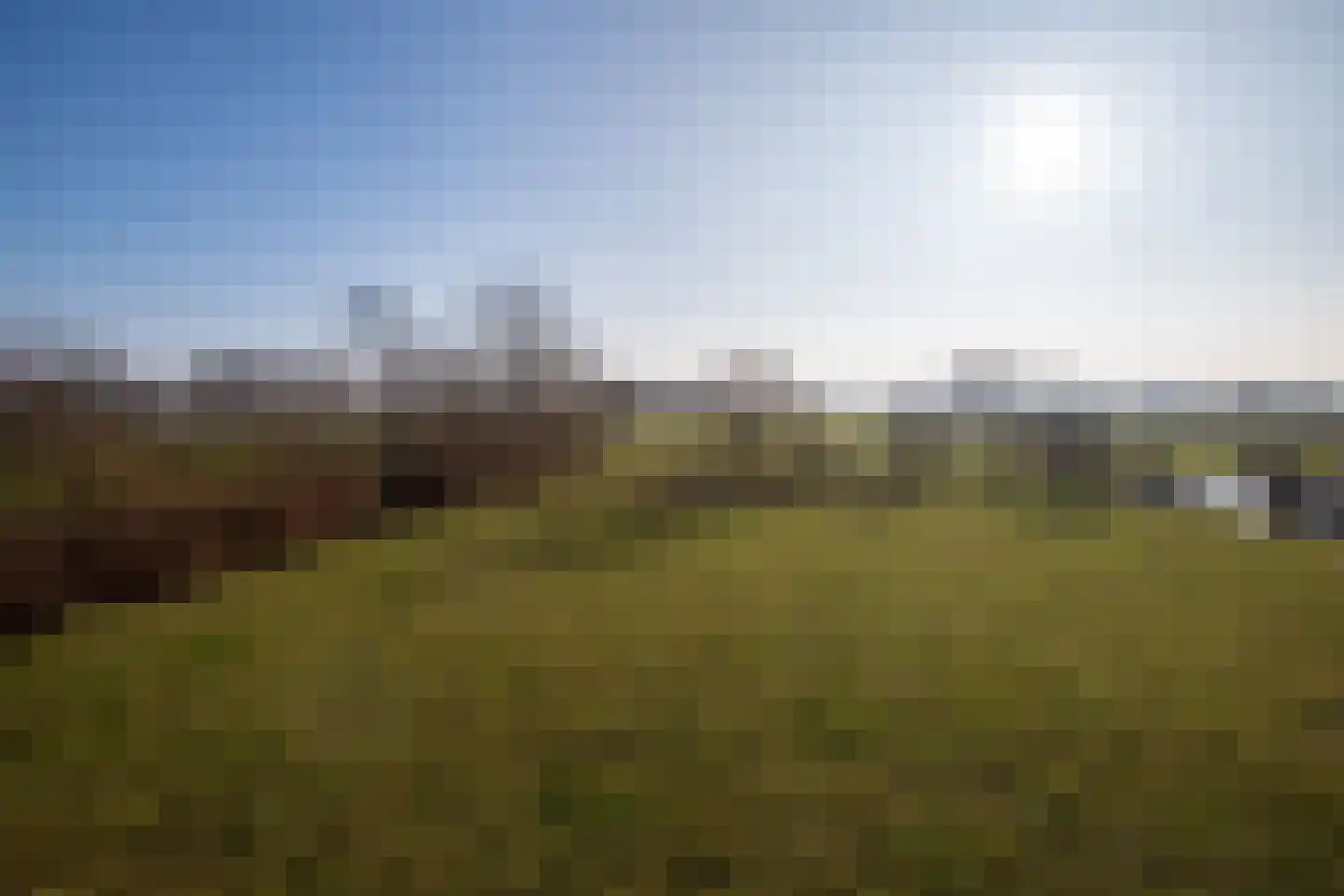 De Doornweg 45 Zwolle thumbnail 55