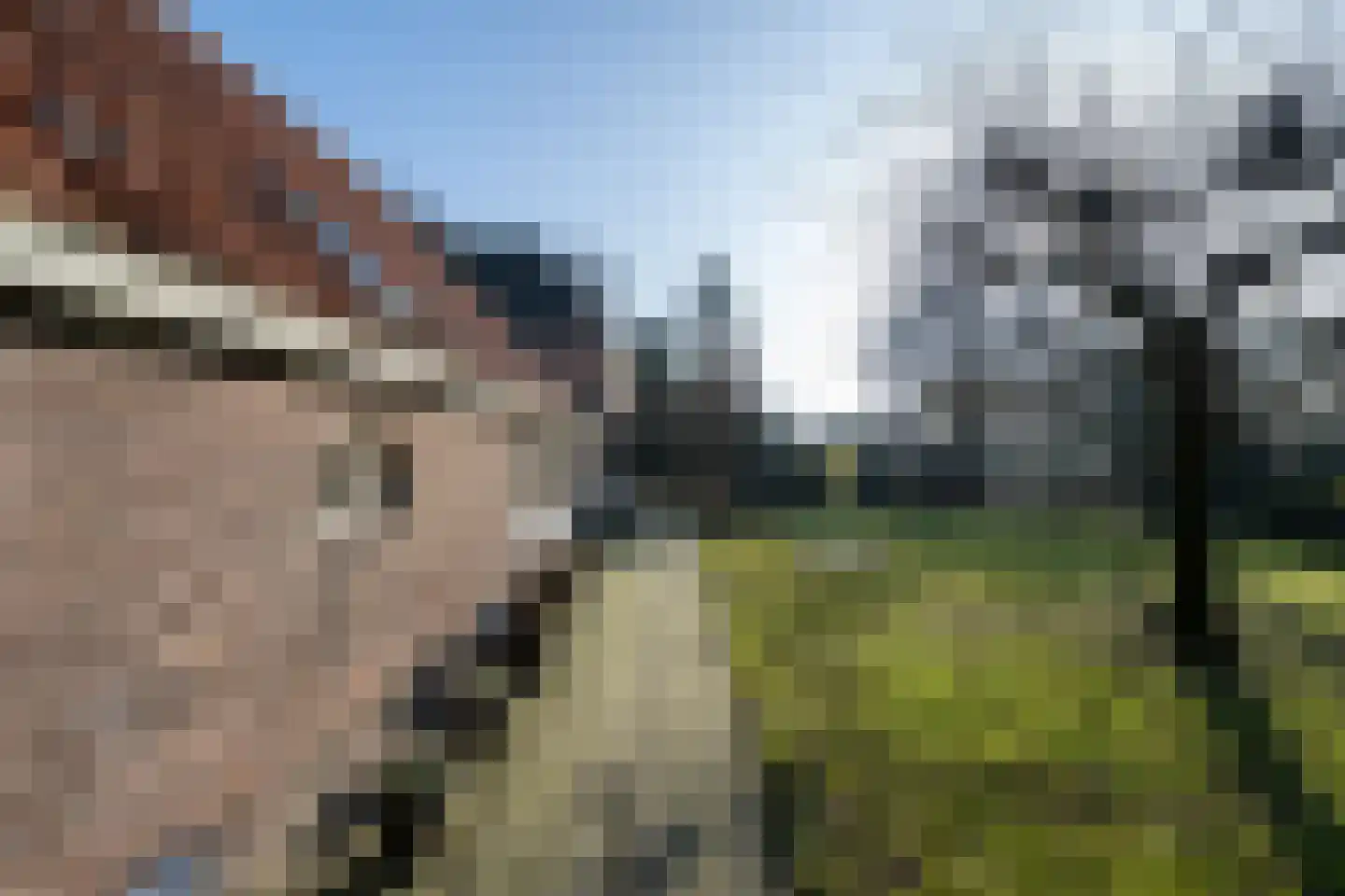 De Doornweg 45 Zwolle thumbnail 56
