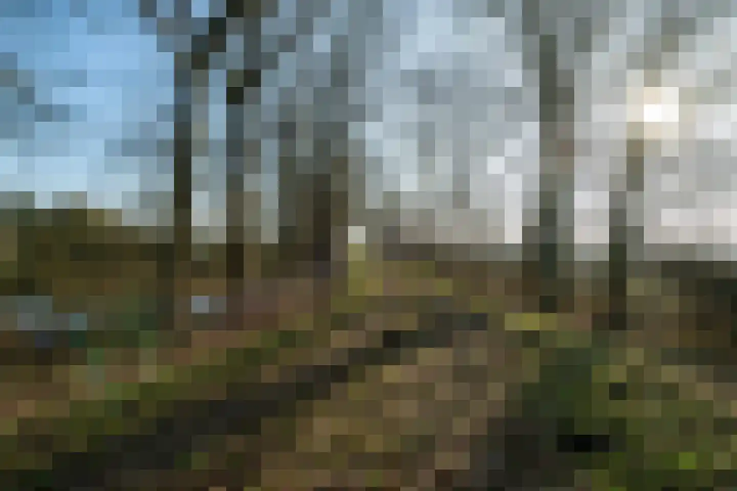 De Doornweg 45 Zwolle thumbnail 60