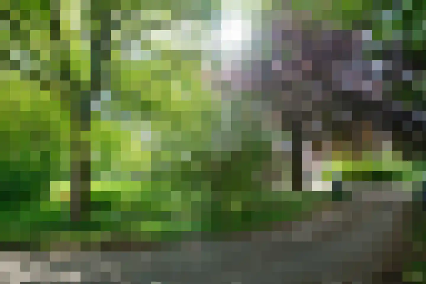 De Doornweg 45 Zwolle thumbnail 62