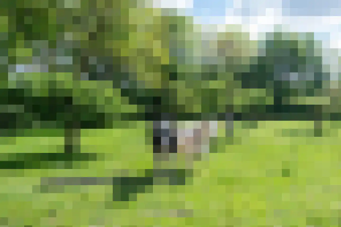 De Doornweg 45 Zwolle thumbnail 63